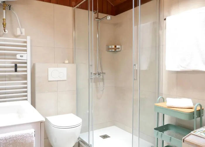 Feriehus Rustico Emilio By Interhome Roveredo